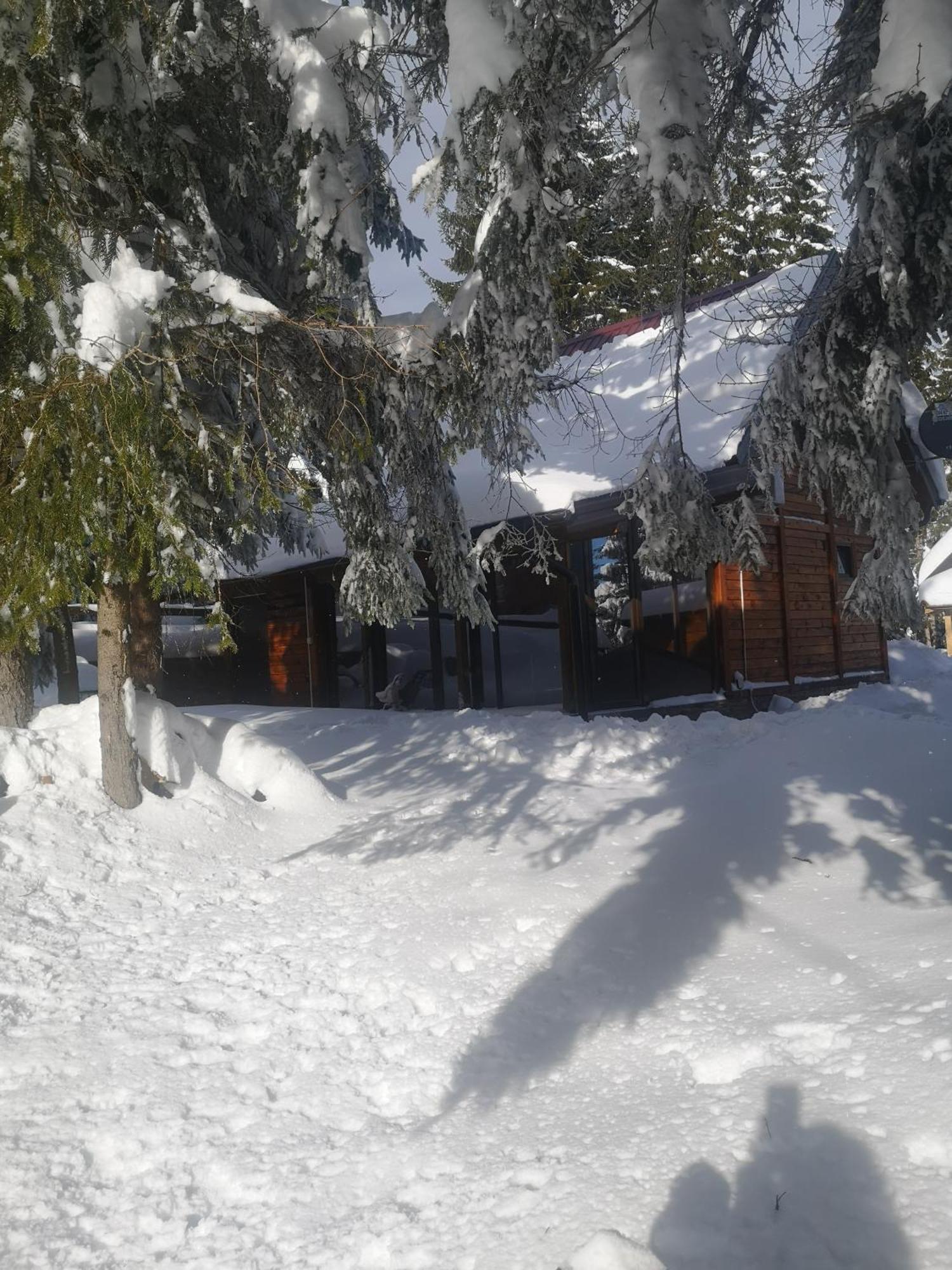 Zaovine Brvnare Krstigoraヴィラ 部屋 写真
